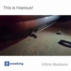 HAHAHAHA this is hilarious must watch