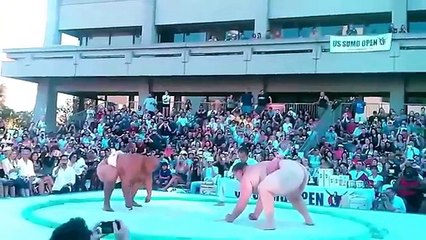 People are CRAZY Pokaż cycki, a dam ci LIKE -