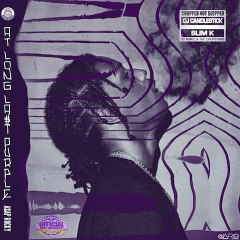 ASAP Rocky - At Long Last Purple (2015). LSD (Chopped Not Slopped)