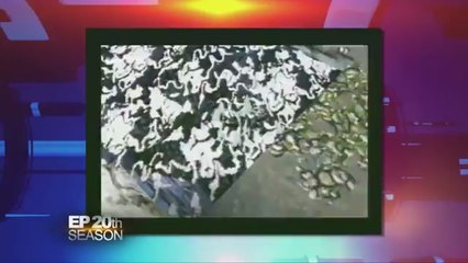 EP Classic: Tomb Raider II