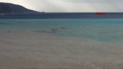 Fethiye - Şiddetli Yağış Ölüdeniz'in Rengini Değiştirdi