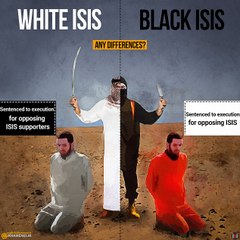 Saudi Arabia Executes Outspoken Regime Opponent