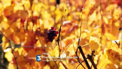 Programme du dimanche 10 janvier 2016 sur France 3 Bourgogne (bande-annonce)