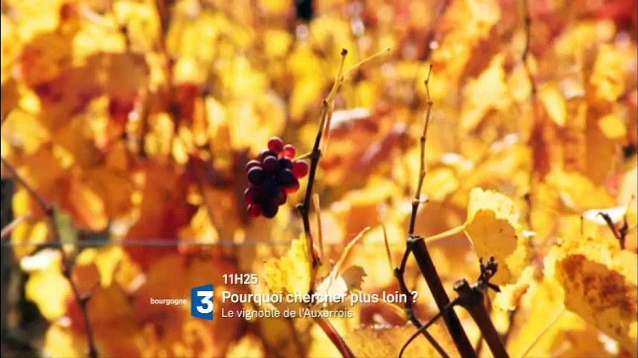 Programme du dimanche 10 janvier 2016 sur France 3 Bourgogne (bande-annonce)