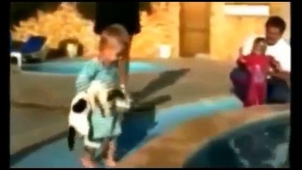 Funny Cats Compilation [Most See] Funny Cat Videos Ever 2016