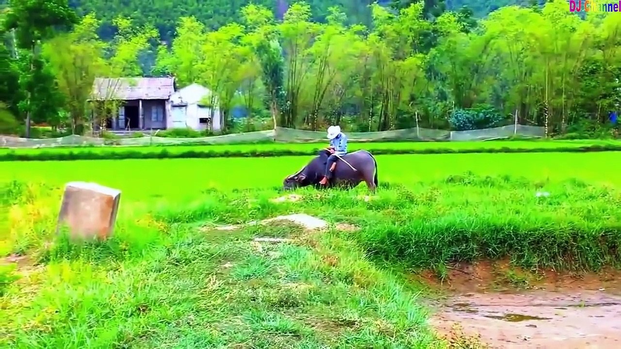 Nhạc Thiếu Nhi Sôi Động Hay Nhất - Giúp Bé Ăn Ngon Miệng
