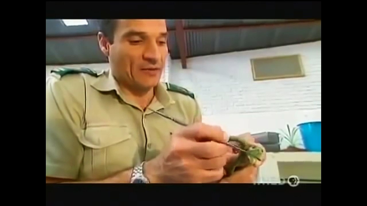 Snake Documentary - Animals Planet Documentary : World`s Deadliest Snakes - Nat Geo Wild