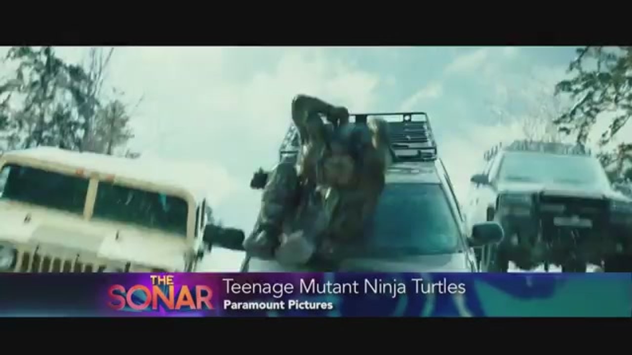 Teenage Mutant Ninja Sonar