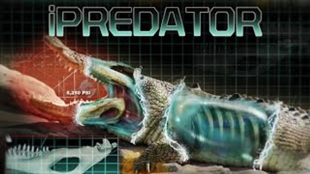 Nat Geo Wild HD | The Most Extreme Predators National Geographic