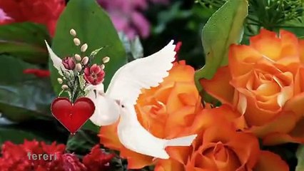 Mondta E már más is Neked