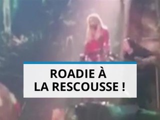 Oops, Britney Spears reste coincée dans un arbre