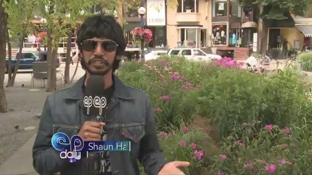 Sabotaging New Blu-rays in the Sonar