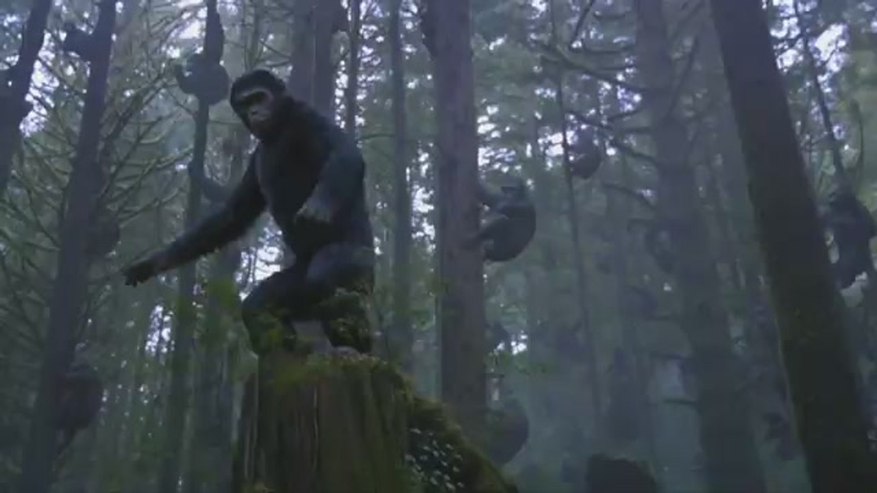 Going Ape in the Sonar
