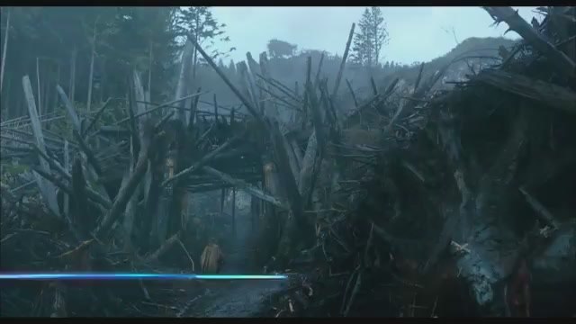 Meet the Primates in Dawn of the Planet of the Apes