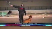 What is Unleashed: A Dog Dancing Story?