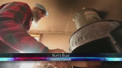 Getting Buzzed with Burt's Buzz