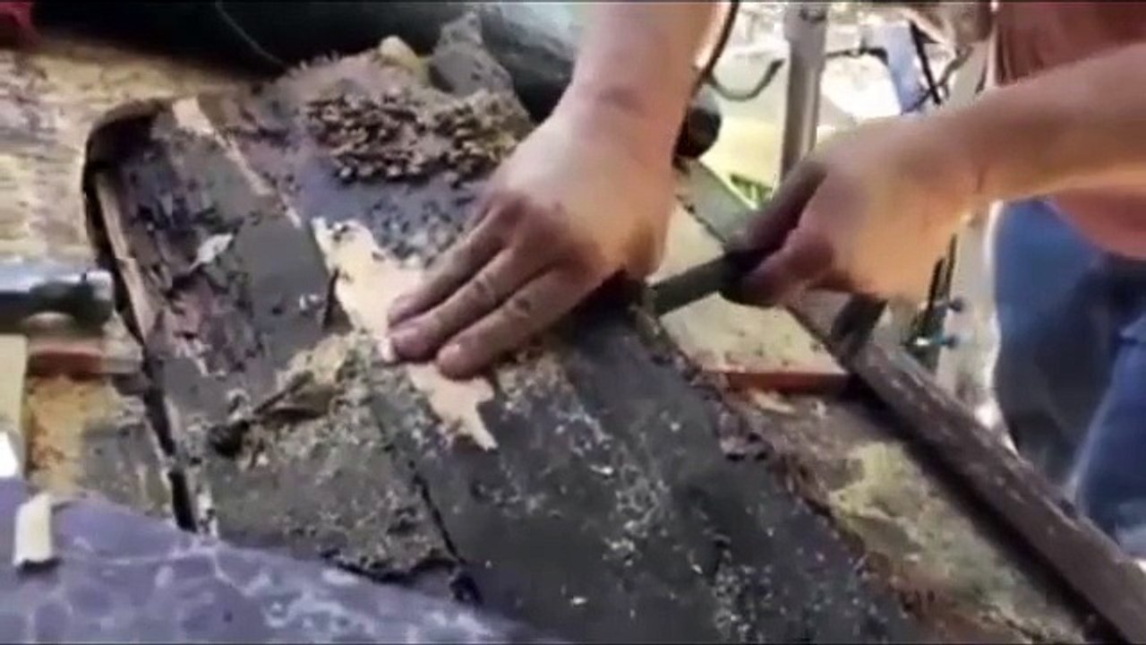 Evin Çatısına Kovan Yapan Arıların İnanılmaz Balı