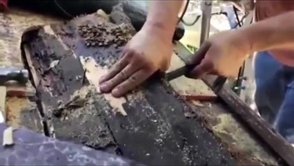 Evin Çatısına Kovan Yapan Arıların İnanılmaz Balı