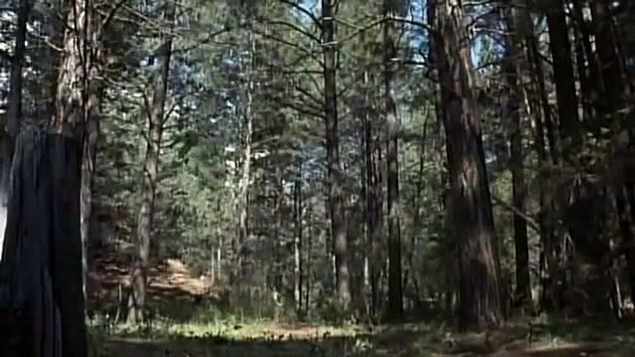 GREASER'S PALACE (1972)