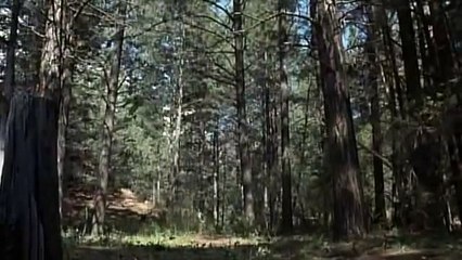 GREASER'S PALACE (1972)