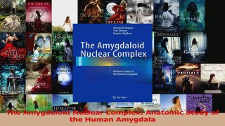 PDF Download  The Amygdaloid Nuclear Complex Anatomic Study of the Human Amygdala Download Full Ebook