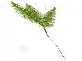 Стильный подарок на день рождения - Украшение для интерьера Нежные веточки в г. Пенза