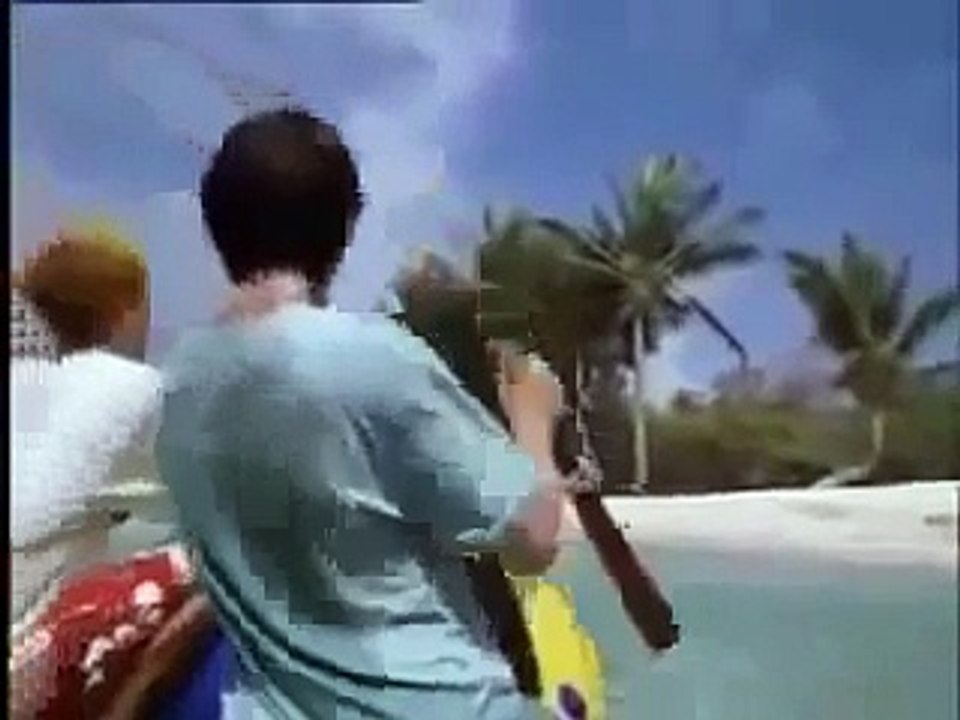 Swiss Family Robinson (1960) Online Free, part 1 of 6, full
