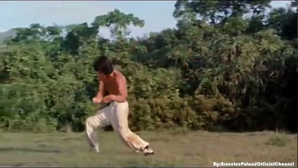 Eight drunken gods / 八醉酒神 / Drunken Master / 醉拳 / Jui kuen