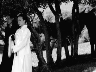 The Assassin 2015 Film Movie Clip First Mission - Qi Shu, Chen Chang Movie