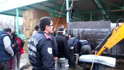Kuyuya Düşen İneği Kurtarma Operasyonu