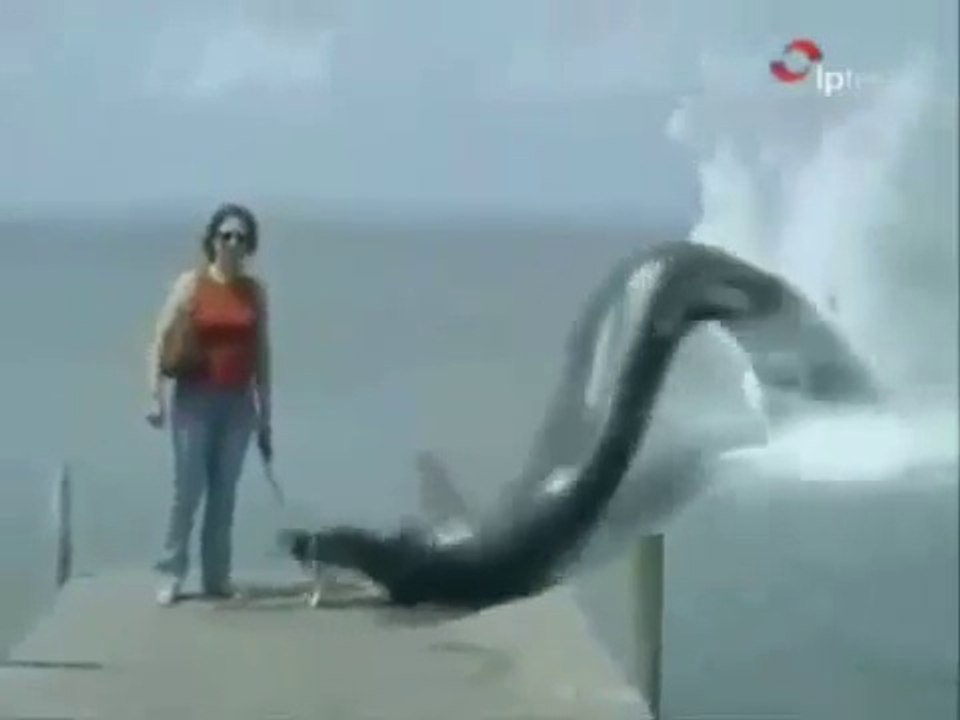 ALLAH ka mojza In Sea