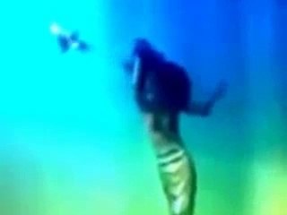 Real Mermaid Presented in Exhibition Held in France 2016