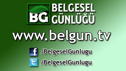 Tehlikeli Yolculuklar - Afrikanin Catisi