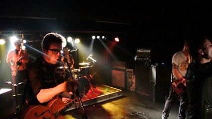 Washington Dead Cats