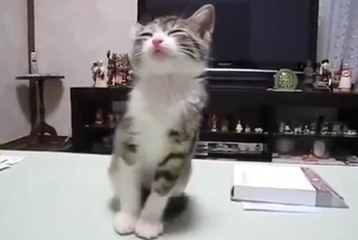 Nope, wasn't sleeping, nope!