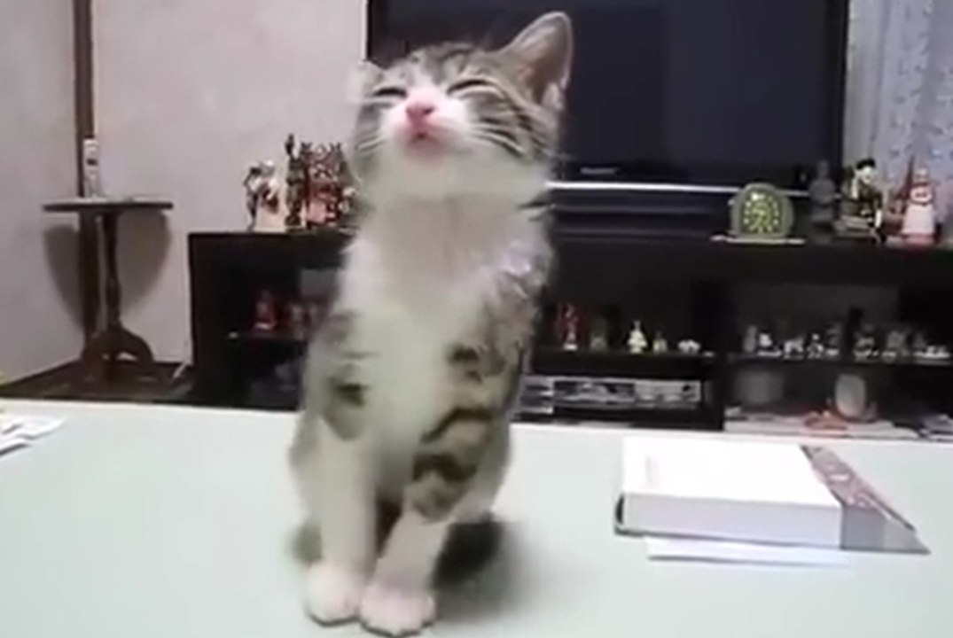 Nope, wasn't sleeping, nope!
