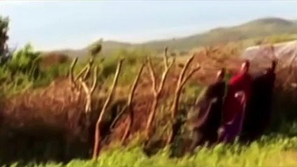 Watch Lions Documentary National Geographic: Man vs Lion Who wins?