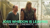 Joss Whedon Quit The Marvel Universe