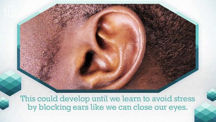 10 Ways Humans Are Likely To Evolve