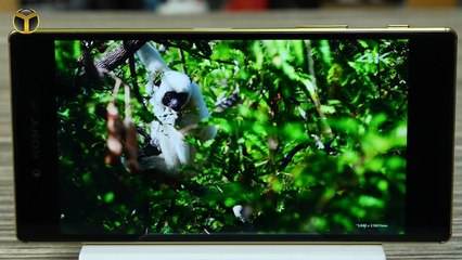 Sony Xperia Z5 Premium İnceleme - İlk 4K Ekranlı Telefon Testte!