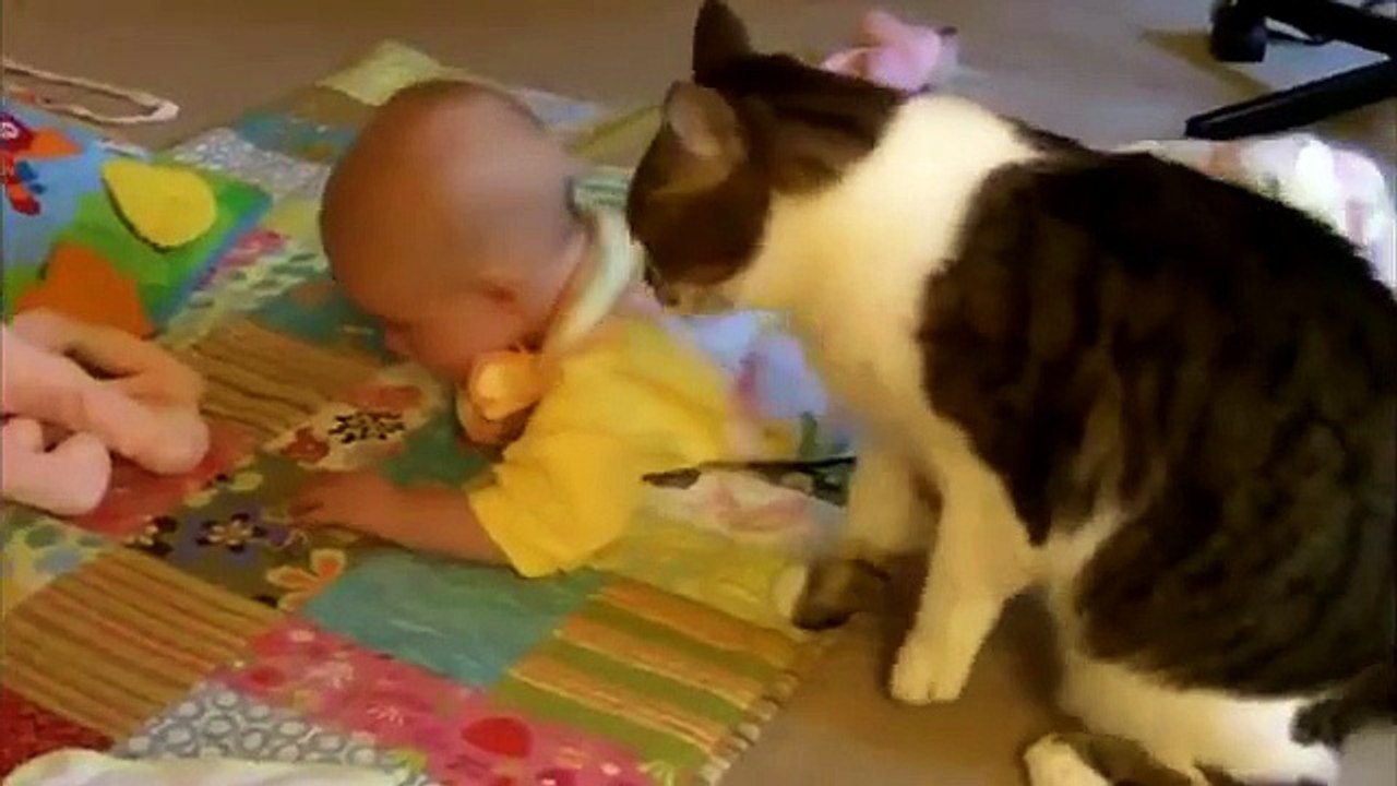 Cat coddling child