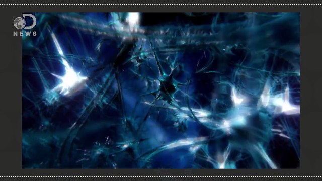 Why Students Should Think Twice Before Taking Amphetamines