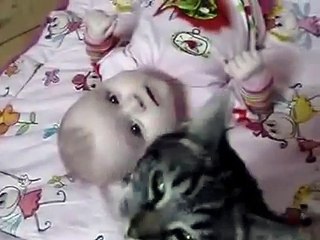 O gato ama este bebê!