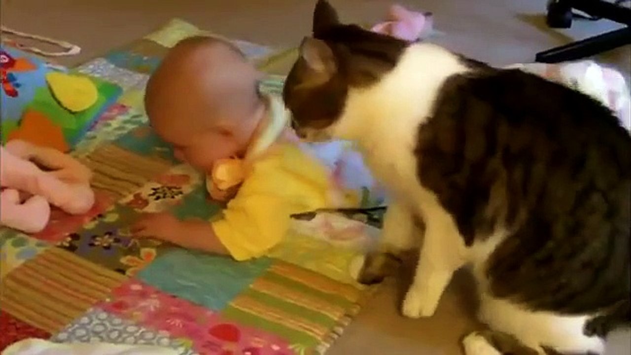 Cat criança coddling