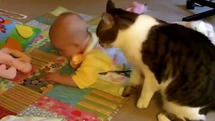 Cat criança coddling