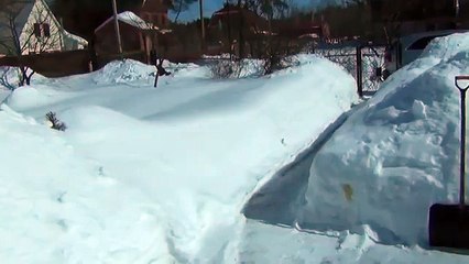 Volver gata sobre el montón de nieve