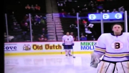 Minnesota State High School All Hockey Hair Team 2015
