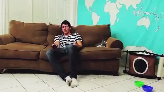 Котик повторюшка