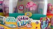 Little Mouse House Live Pets Playset Toy Review Unboxing Moose Toys & Kinder Surprise Eggs
