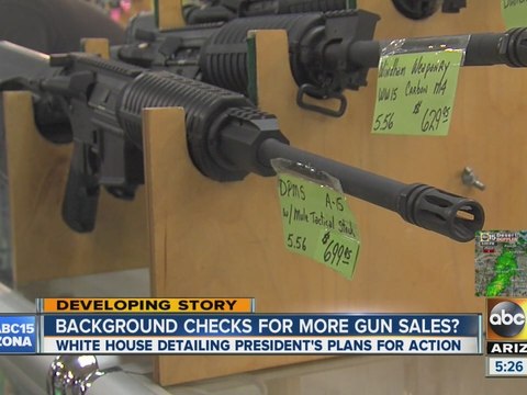 Background checks for more gun sales?